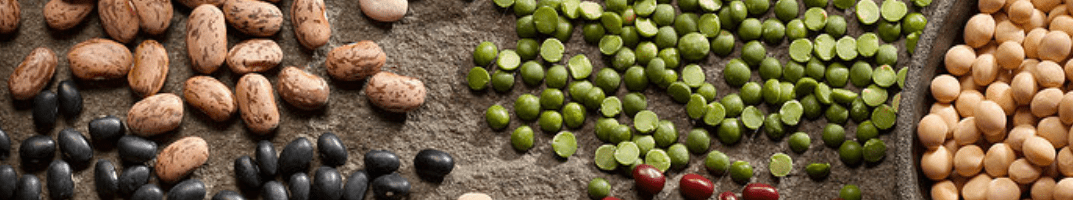 Beans Beans